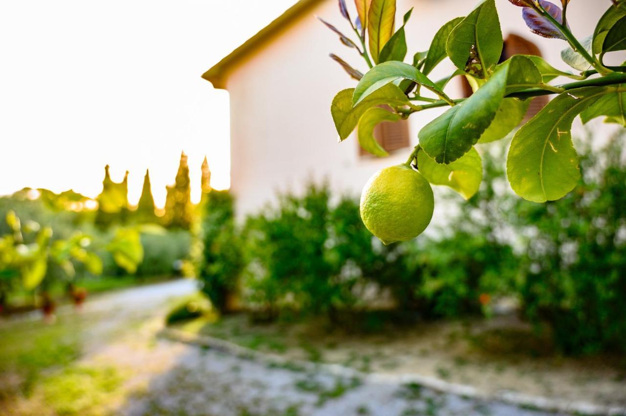 B&B Villa Giulia Сатурнія Екстер'єр фото